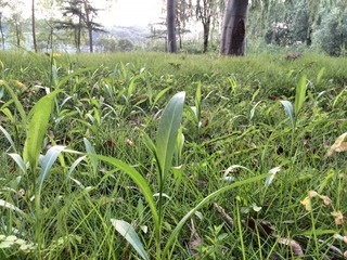 IMG_20130705_184810.jpg