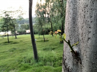 IMG_20130705_184932.jpg