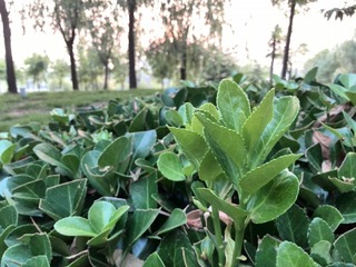 IMG_20130705_185043.jpg