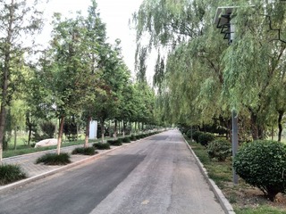 IMG_20130705_185049.jpg