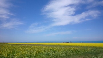 DSC_0082.jpg
