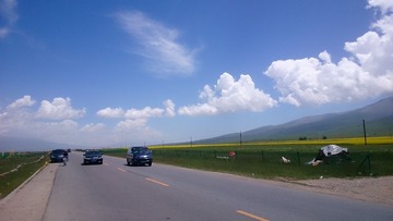 DSC_0085.jpg