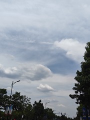 1000006287