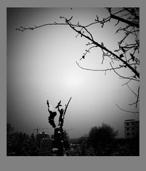 DSCF8210__