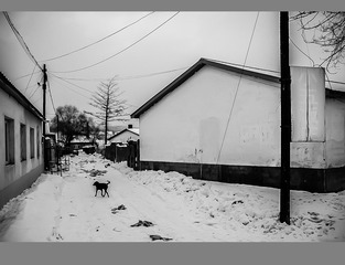20161120-DSCF8676_