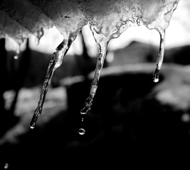 DSCF3881_