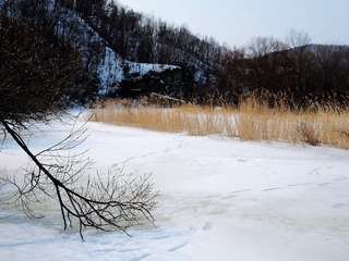 DSCF3666__