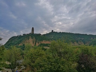 82830