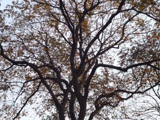 P1000353.JPG