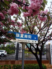 895844