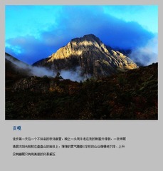 照片 529