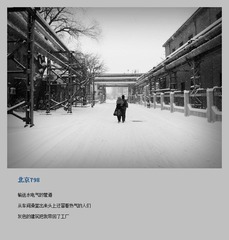照片 361
