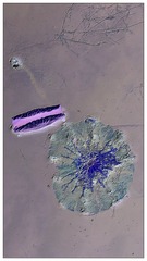 1000005823