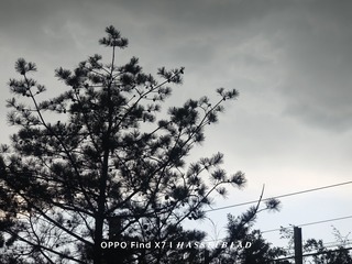 1000070530