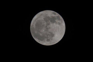 1000540252