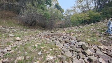1000254857