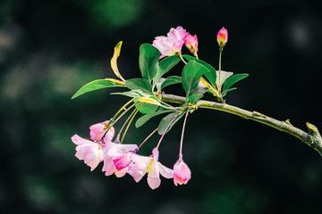 001