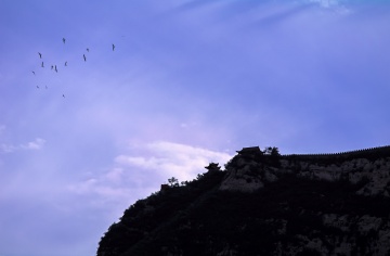 1000129419