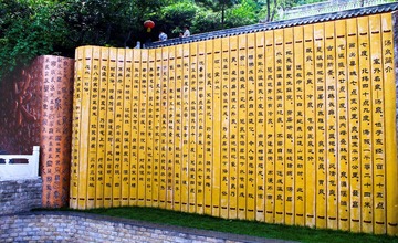1000076486