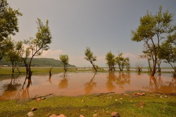 DSC_0106.JPG