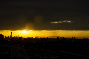 2643267