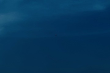001