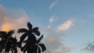 1000013528