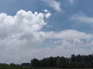1000007989