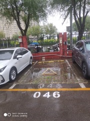 269036
