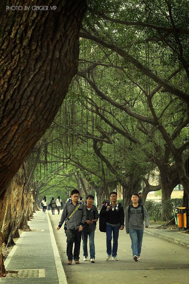 中大学子。。。别望了，姐不是你们学姐！