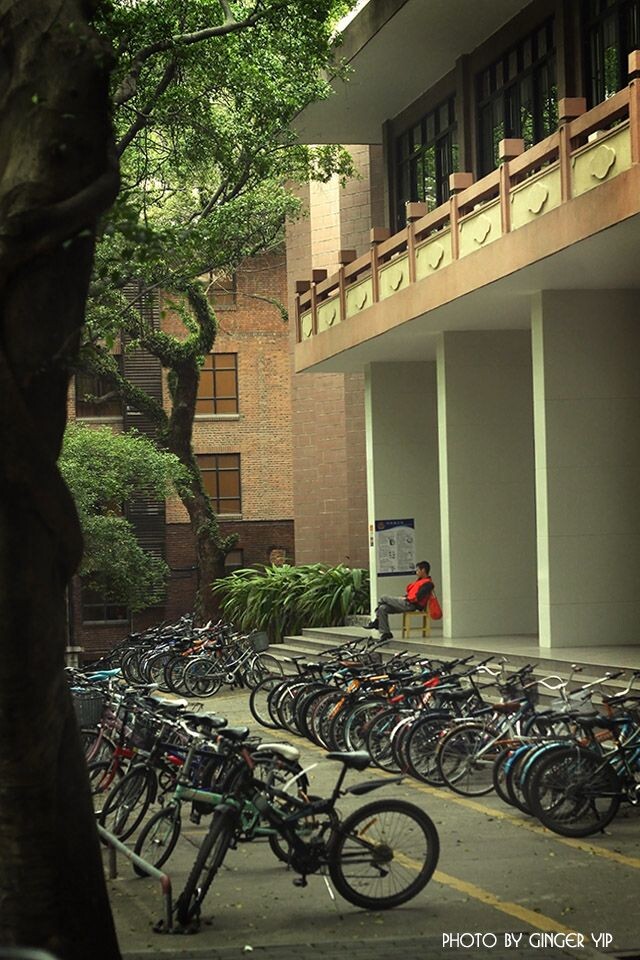 教学楼外停满的单车