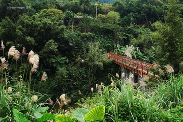 P1020398