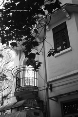 P1000287