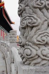 P1000935