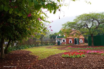 P1010113