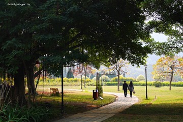 P1010120