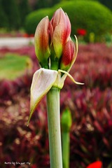 P1010083