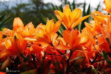 P1010166