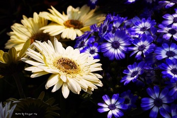 P1010167
