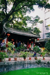 P1010426