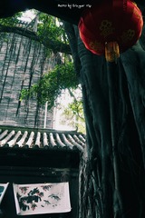 P1010441