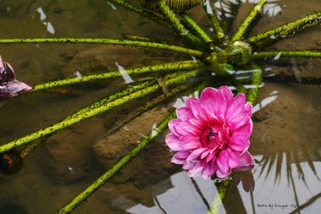 P1010609