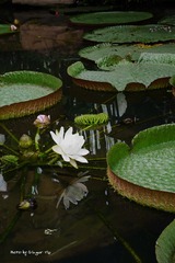 P1010612
