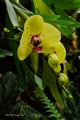 P1010622