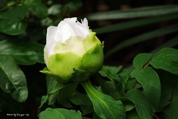 P1010763