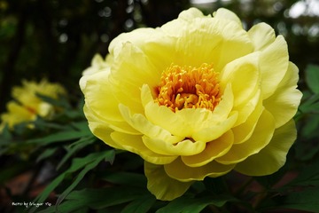 P1010773