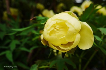 P1010775