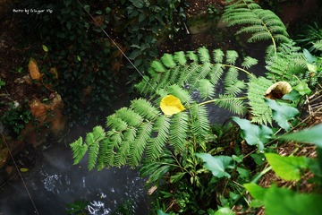 P1010671