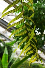 P1010673