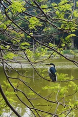 P1010830
